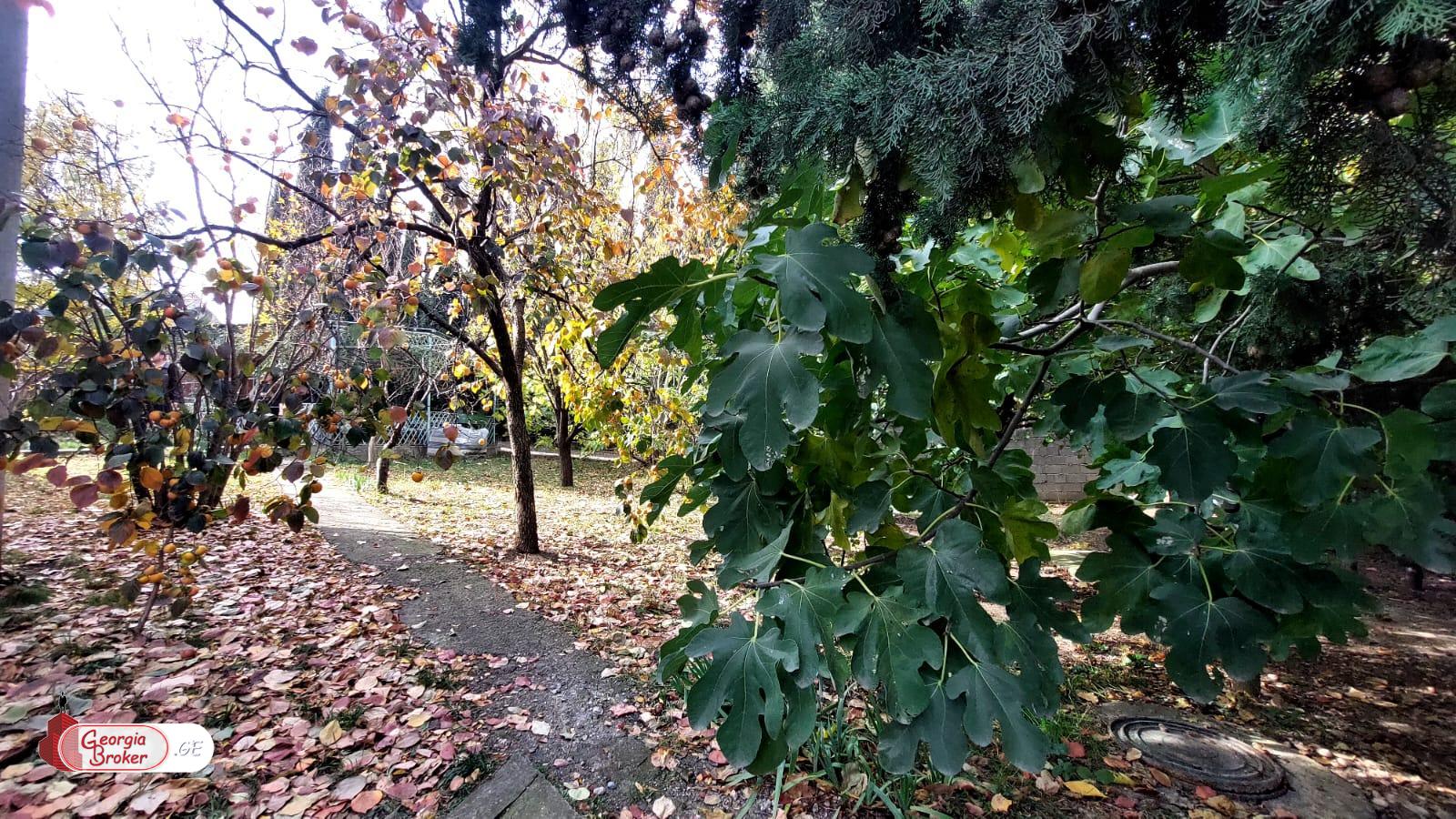 იყიდება ახალი გარემონტებული 5 ოთახიანი სახლი წეროვანში